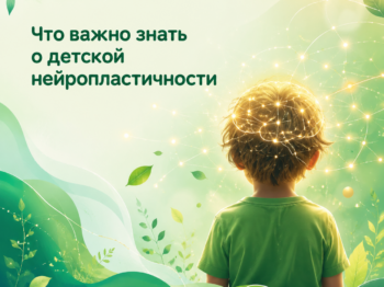 Подробнее о статье Что важно знать о детской нейропластичности