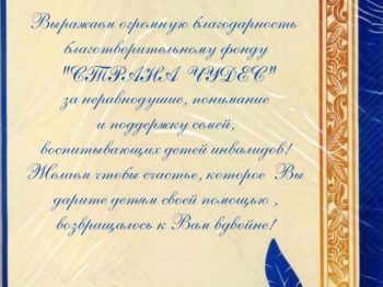 Подробнее о статье Благодарность от ГКУ СО МО «Балашихинский реабилитационный центр для детей и подростков с ограниченными возможностями «Росинка» за организацию посещения парка «Остров мечты» на благотворительной основе в июле 2022 г.